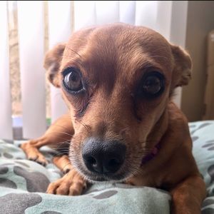 Meet your Posher, Charity